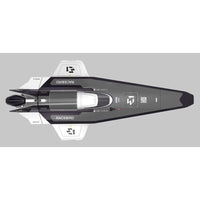 Joysway E1 RaceBird 1:14 Hydrofoil 545mm Brushed 25km/h RTR Speedboat - White