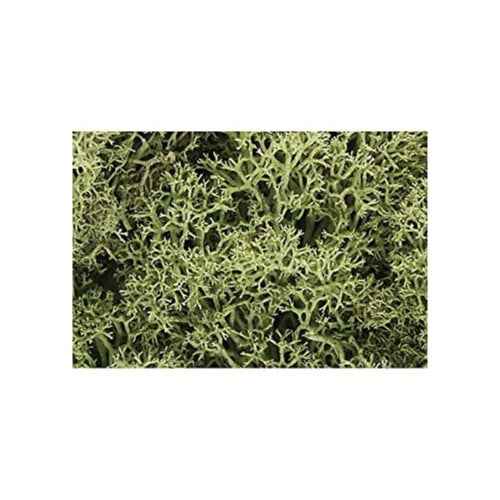 Woodland Scenics L161 Spring Green Lichen