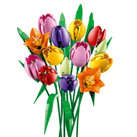 Lego 11501 Botanicals Tulip Bouquet 5702018061770