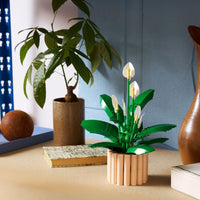 Lego 11504 Botanicals Peace Lily 5702018031858