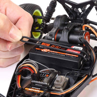 Losi Mini-B 1/16 Brushless 2WD Buggy RTR Blue LOS01024T2