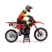 Losi Promoto-MX 1/4 RC Motorcycle FXR Scheme LOS06000T1