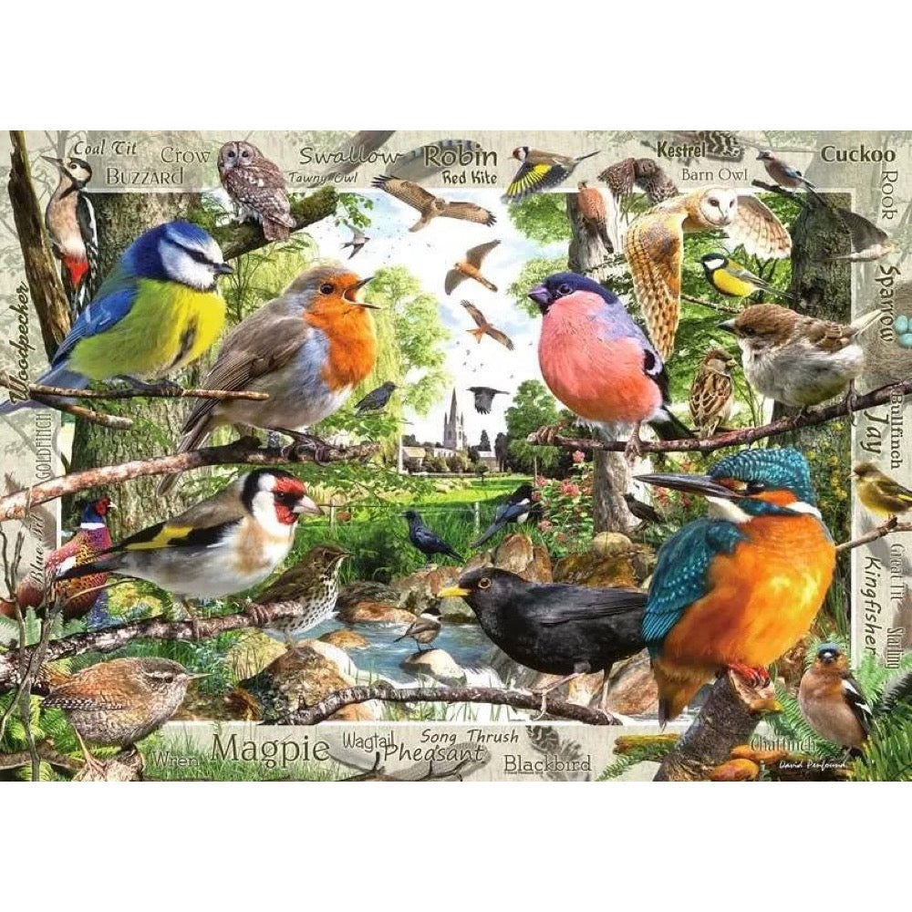 Ravensburger Our Feathered Friends 1000pc Jigsaw Puzzle