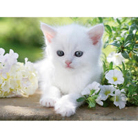 Ravensburger White Kitten 1500pc Jigsaw Puzzle
