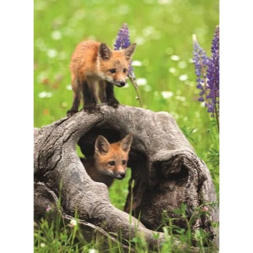 Ravensburger 00871-2 Cheeky Foxes 300pc Jigsaw Puzzle 4005555008712