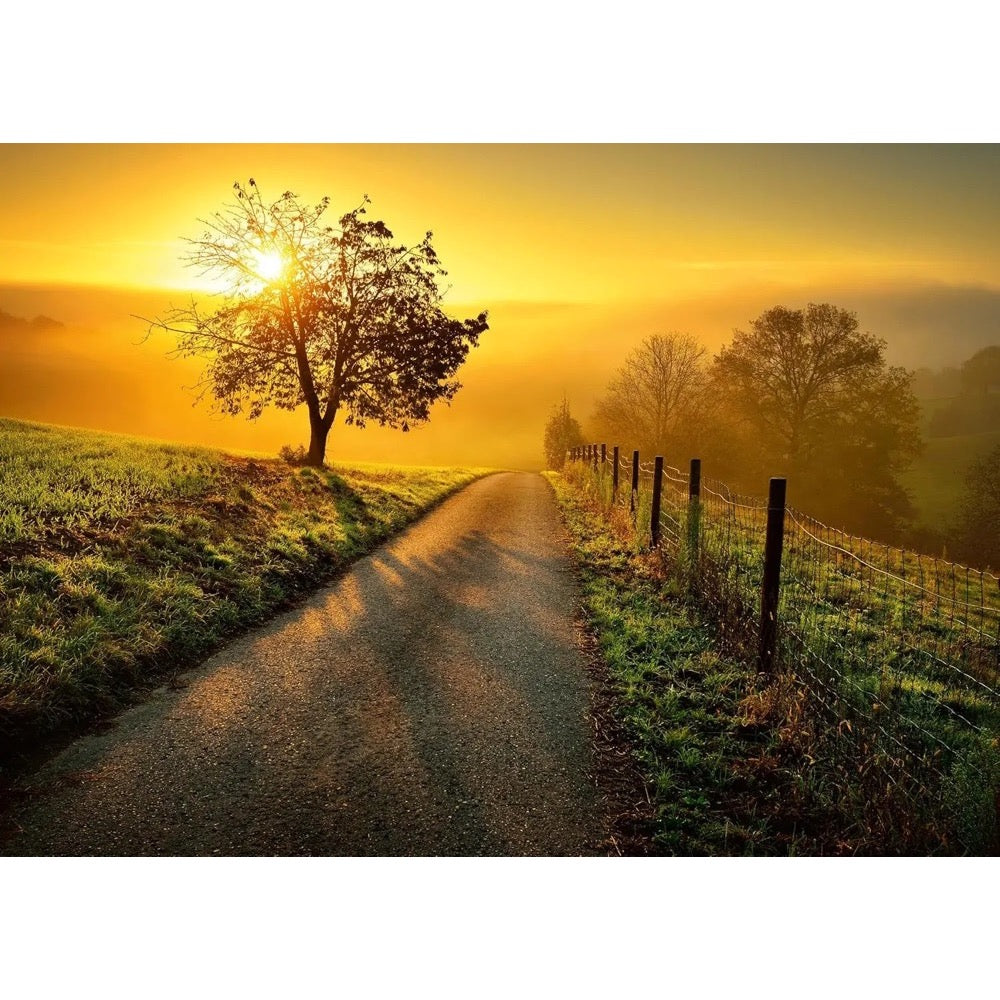 Ravensburger Landschaft in Morgensonne 1000pc Jigsaw Puzzle
