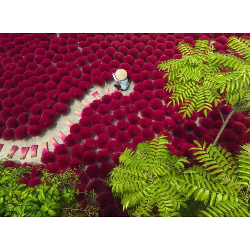 Ravensburger 01707-3 A Sea Of Red 500pc Jigsaw Puzzle