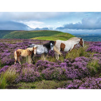Ravensburger 01751-6 Wild Horses In The Heather 2000pc Jigsaw Puzzle