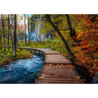 Ravensburger 01764-6 Autumnal Forest Path 1000pc Jigsaw Puzzle