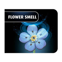 Revell 00630 Blossom Festival