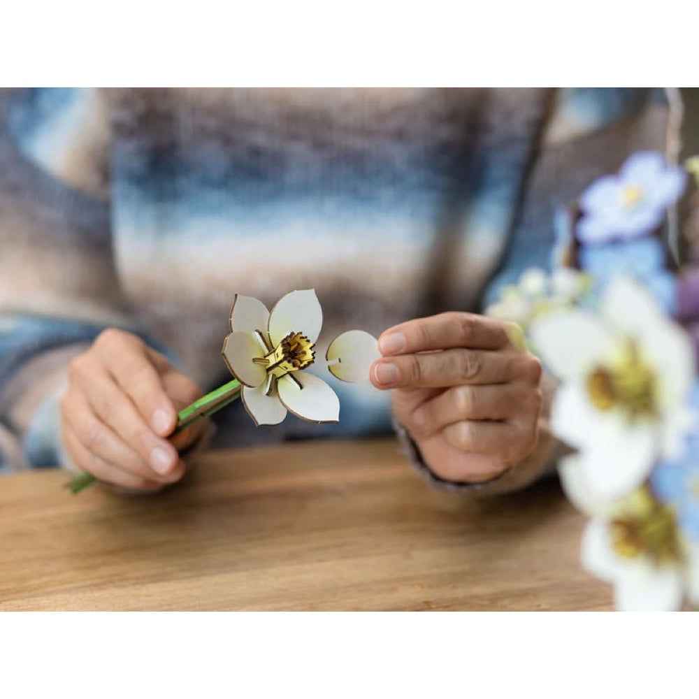 Revell 00630 Blossom Festival