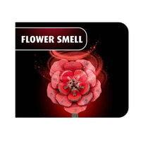 Revell 00631 Dream Of Roses