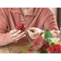 Revell 00631 Dream Of Roses
