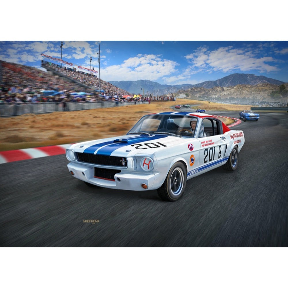 Revell 07716 1/24 66 Shelby GT350R