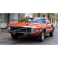 Revell 07729 1/25 70 Shelby Mustang GT500