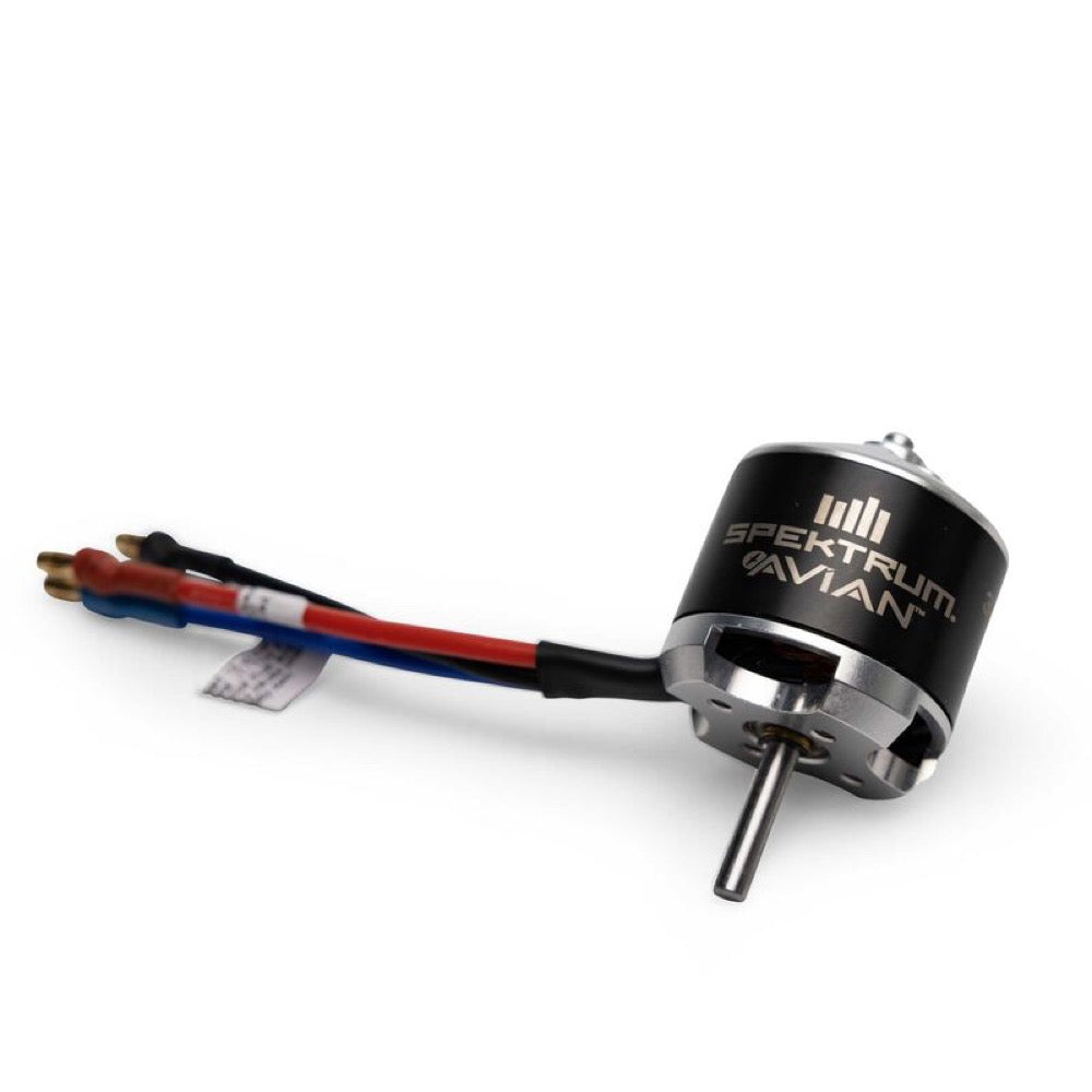Spektrum SPMXAM3800 Avian 3536-1000Kv 14-Pole Outrunner Brushless Motor
