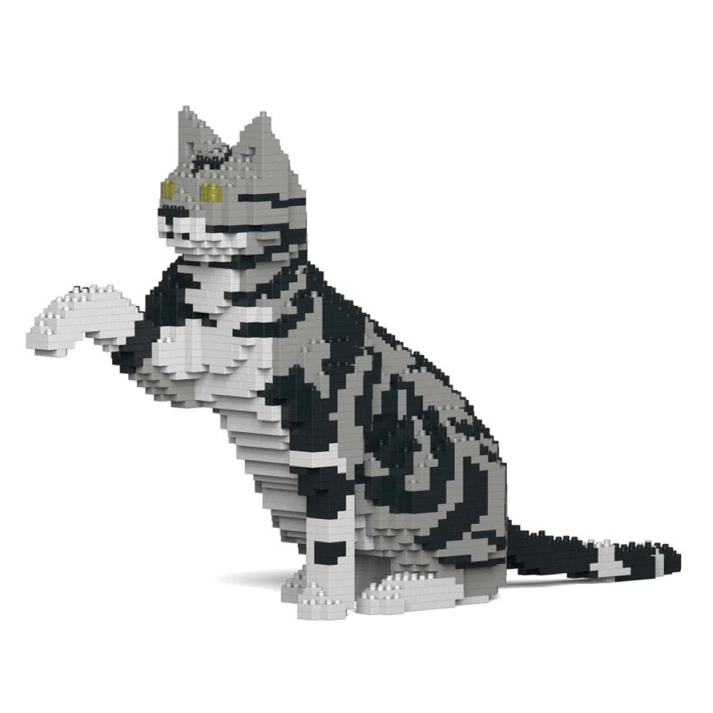 Jekca ST19ASC03-M01 American Shorthair Cat 03S