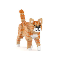 Jekca ST19CM02 Orange Tabby Cat Mini 01S