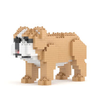 Jekca English Bulldog Mini 01S