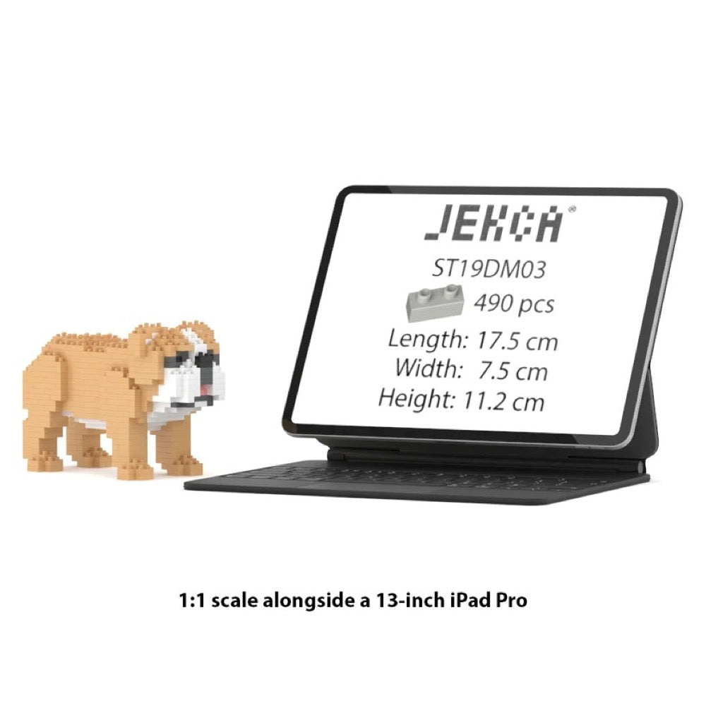Jekca English Bulldog Mini 01S