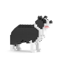 Jekca ST19DM08 Border Collie Mini 01S