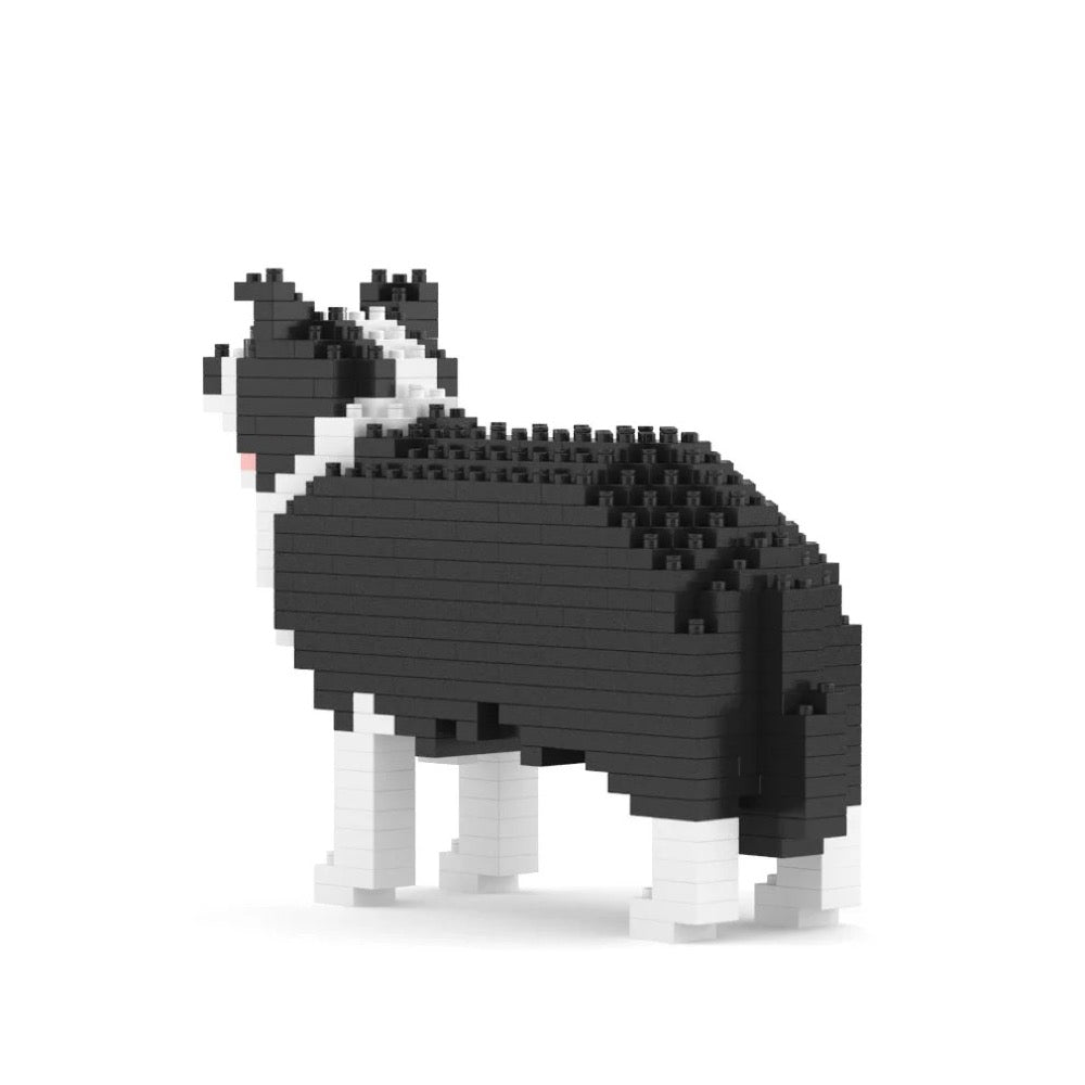 Jekca ST19DM08 Border Collie Mini 01S
