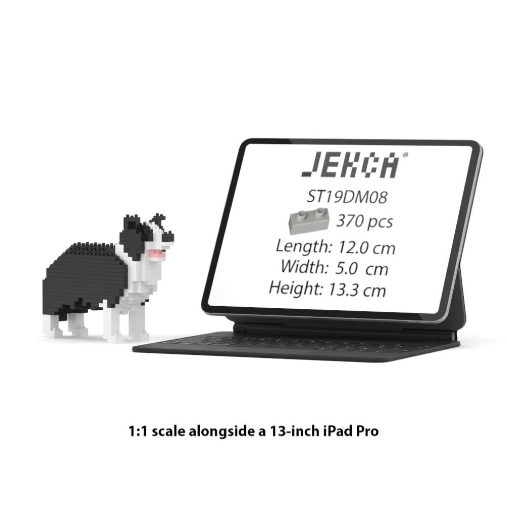 Jekca ST19DM08 Border Collie Mini 01S