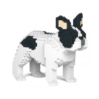 Jekca ST19FB02-M04 French Bulldog 02S-M04