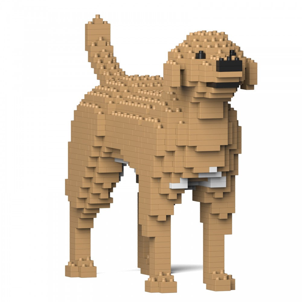 Jekca ST19PT26-M04 Labrador Retriever 01S-M04