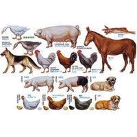 Tamiya 1/35 Livestock Set