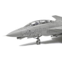 Tamiya 60795 1/72 Grumman F-14D Tomcat