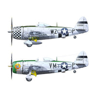 Tamiya 61090 1/48 P-47D Thunderbolt Bubbletop