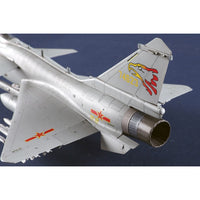 Trumpeter 01698 1/72 Chinese J-10C Fighter