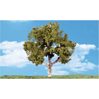 Woodland Scenics TR3537 Waters Edge Classic Trees 15-18cm 2pc