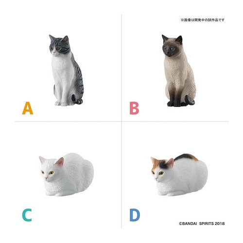 Bandai 5055350 Cat Weapons Neko Busou 2 Nami Mori |  Hobbies Online