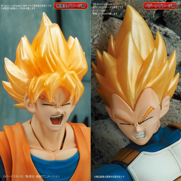 Bandai 50580901 Figure-rise Standard Legendary Super Saiyan Broly Dragon Ball Z | Metro Hobbies
