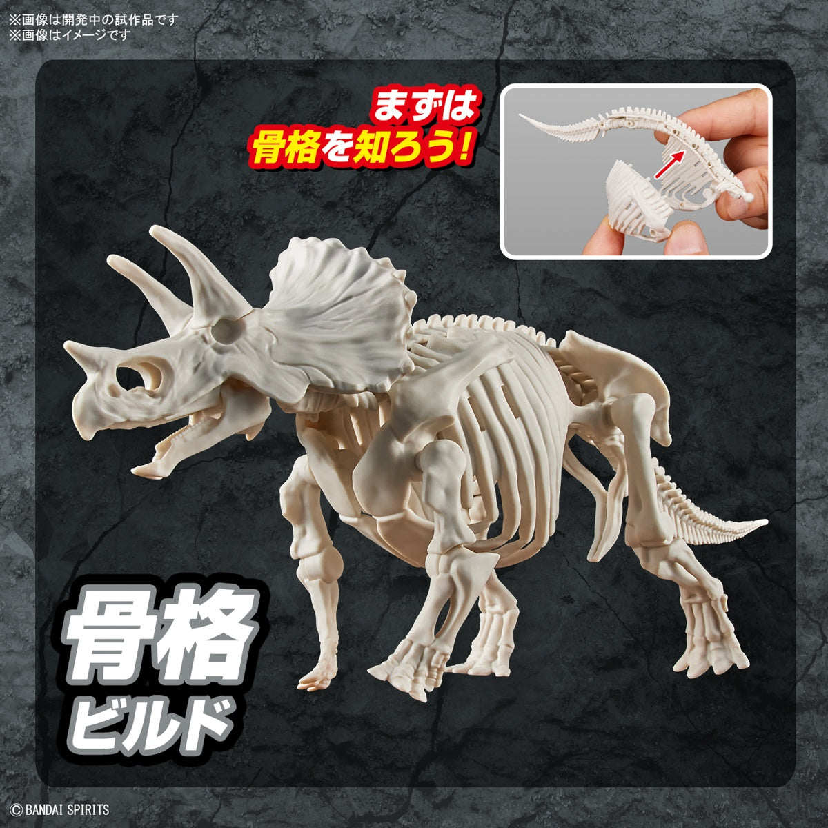Bandai 5064263 Plannosaurus Triceratops Dinosaur