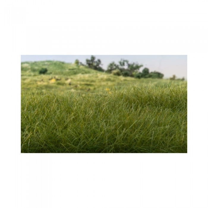 Woodland Scenics FS617 4mm Static Grass Dark Green