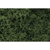 Woodland Scenics L163 Medium Green Lichen