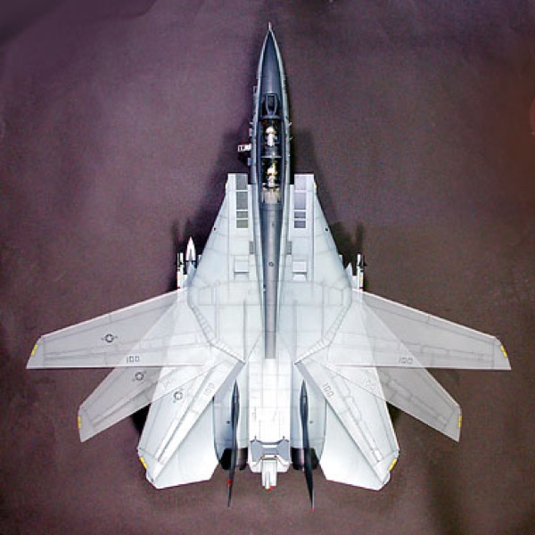 Tamiya 60313 1/32 Grumman F-14A Tomcat Black Knights
