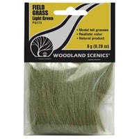 Woodland Scenics FG173 Light Green Field Grass